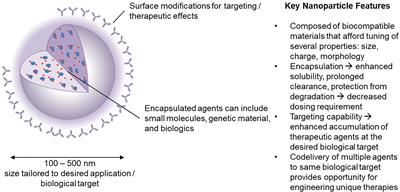 Strategies to Use Nanoparticles to Generate CD4 and CD8 Regulatory T Cells for the Treatment of SLE and Other Autoimmune Diseases